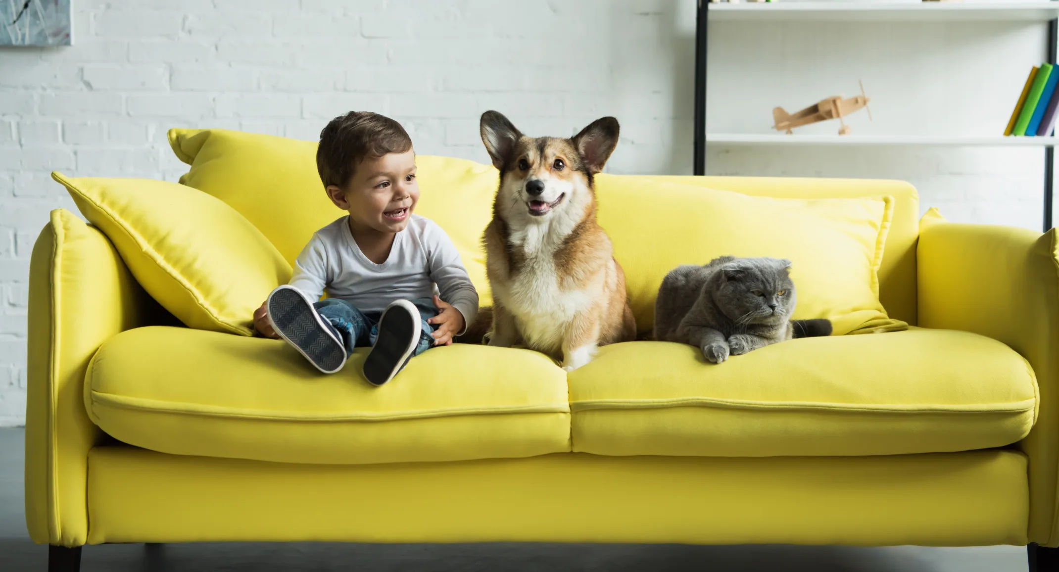 A child, cat, and dog sitting on a green couch